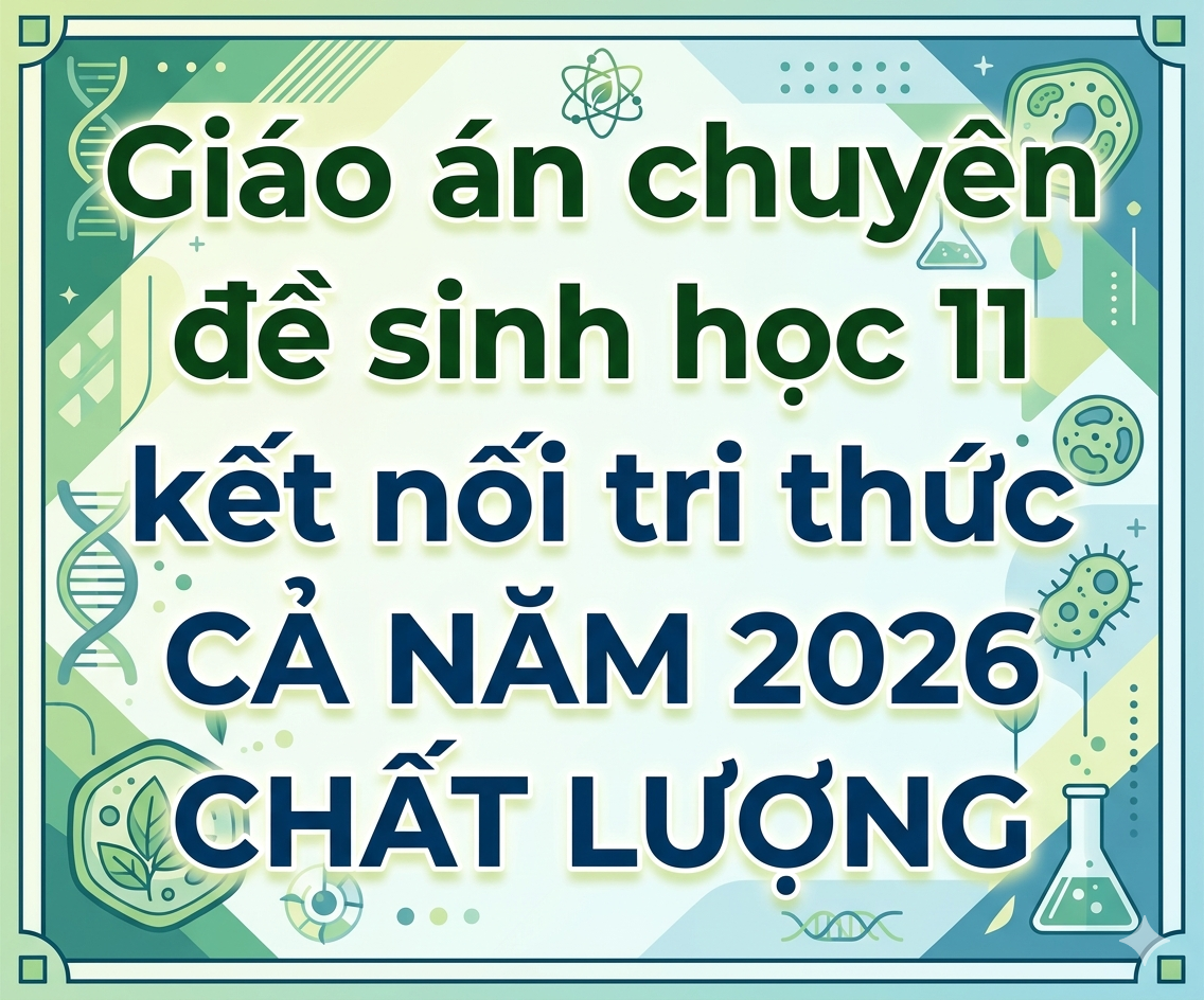 Giáo Án Chuyên Đề Sinh Học 11 Kết Nối Tri Thức Cả Năm 2026 Chất Lượng